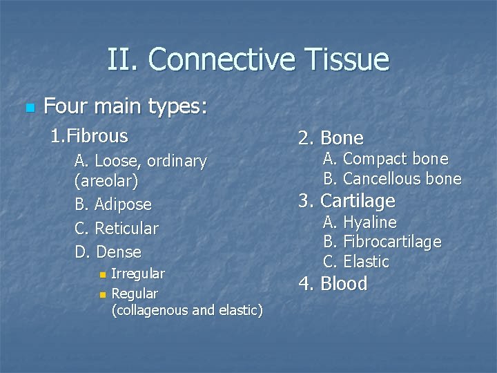 II. Connective Tissue n Four main types: 1. Fibrous A. Loose, ordinary (areolar) B.