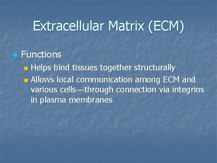 Extracellular Matrix (ECM) n Functions Helps bind tissues together structurally n Allows local communication