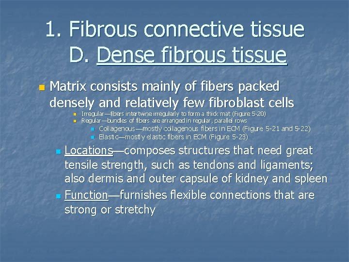 1. Fibrous connective tissue D. Dense fibrous tissue n Matrix consists mainly of fibers