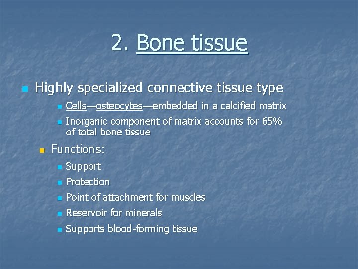 2. Bone tissue n Highly specialized connective tissue type n n n Cells—osteocytes—embedded in
