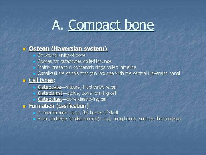 A. Compact bone n Osteon (Haversian system) n n n Cell types: n n