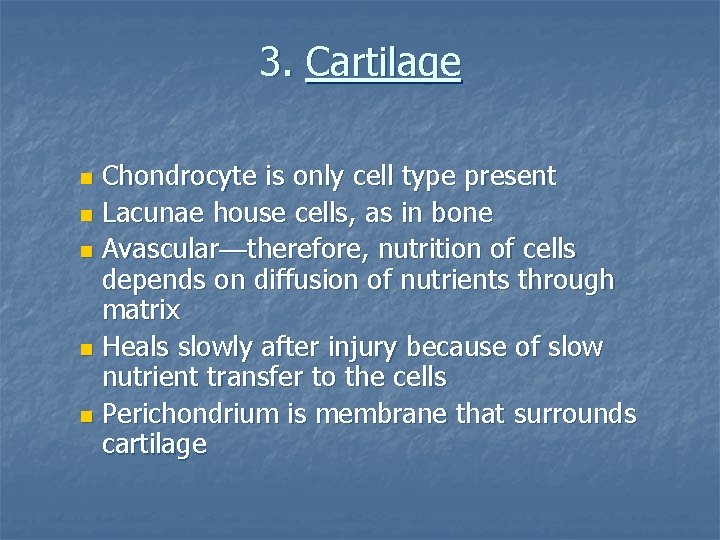 3. Cartilage Chondrocyte is only cell type present n Lacunae house cells, as in