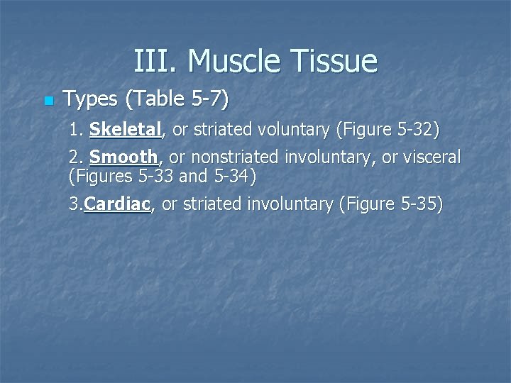 III. Muscle Tissue n Types (Table 5 -7) 1. Skeletal, or striated voluntary (Figure