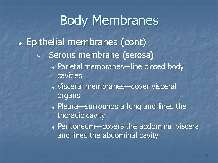 Body Membranes Epithelial membranes (cont) Serous membrane (serosa) Parietal membranes—line closed body cavities Visceral