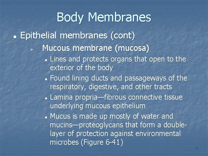 Body Membranes Epithelial membranes (cont) Mucous membrane (mucosa) Lines and protects organs that open