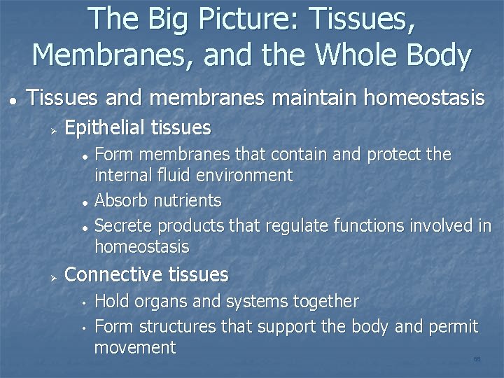 The Big Picture: Tissues, Membranes, and the Whole Body Tissues and membranes maintain homeostasis