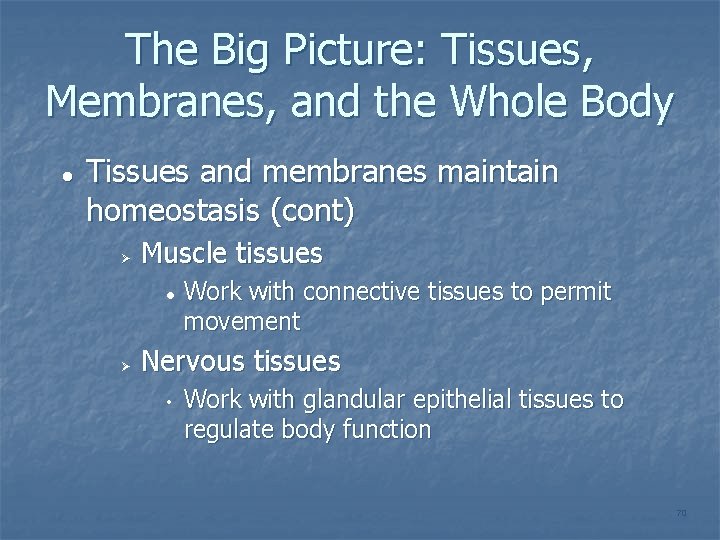 The Big Picture: Tissues, Membranes, and the Whole Body Tissues and membranes maintain homeostasis