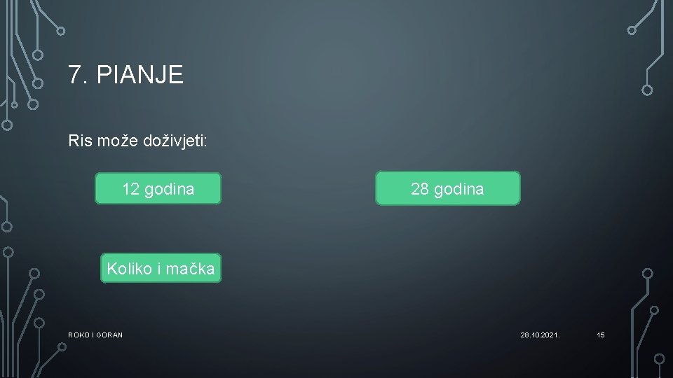 7. PIANJE Ris može doživjeti: 12 godina 28 godina Koliko i mačka ROKO I