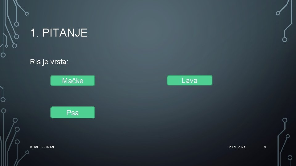 1. PITANJE Ris je vrsta: Mačke Lava Psa ROKO I GORAN 28. 10. 2021.