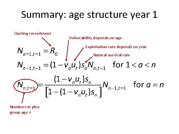 Summary: age structure year 1 Starting recruitment Vulnerability depends on age Exploitation rate depends