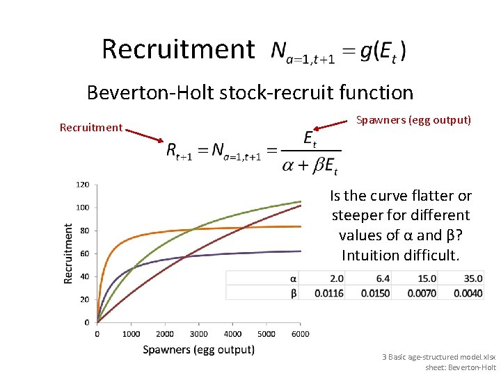 Recruitment Beverton-Holt stock-recruit function Recruitment Spawners (egg output) Is the curve flatter or steeper