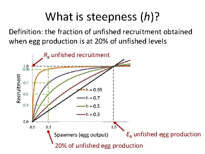 What is steepness (h)? Definition: the fraction of unfished recruitment obtained when egg production