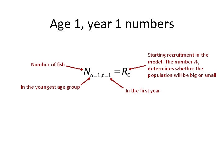 Age 1, year 1 numbers Number of fish In the youngest age group Starting