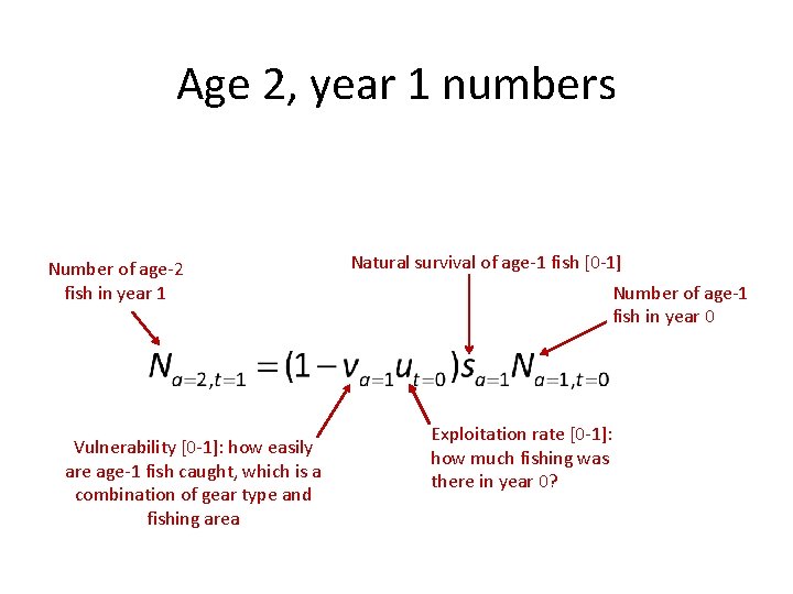 Age 2, year 1 numbers Age-1 fish in the previous year (t=0) become age-2