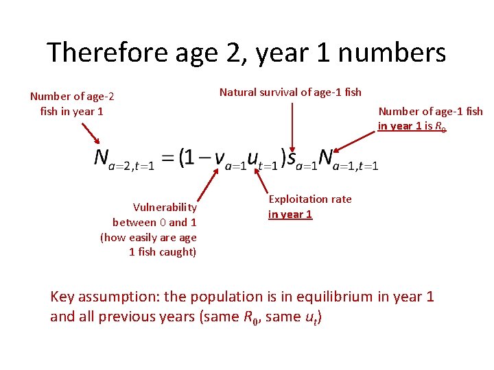 Therefore age 2, year 1 numbers Number of age-2 fish in year 1 Vulnerability