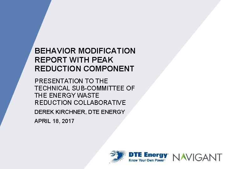 BEHAVIOR MODIFICATION REPORT WITH PEAK REDUCTION COMPONENT PRESENTATION TO THE TECHNICAL SUB-COMMITTEE OF THE