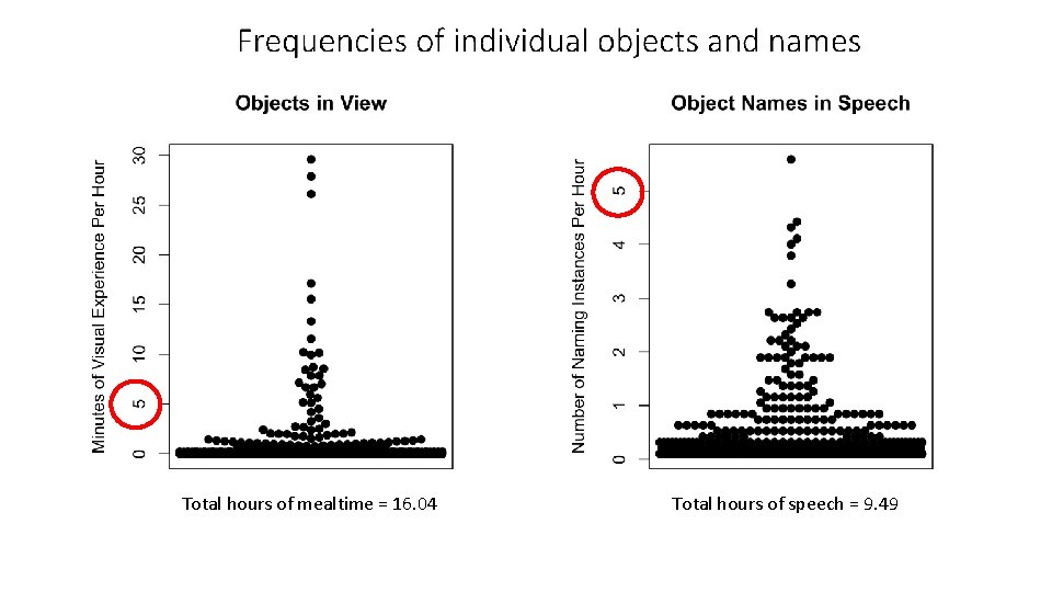 The everyday statistics of objects and their names