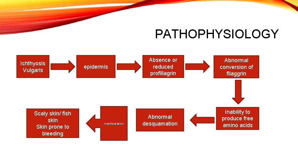 PATHOPHYSIOLOGY Ichthyosis Vulgaris Scaly skin/ fish skin Skin prone to bleeding epidermis manifestation Absence