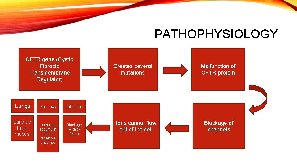 PATHOPHYSIOLOGY CFTR gene (Cystic Fibrosis Transmembrane Regulator) Lungs Build up thick mucus Pancreas Intestine