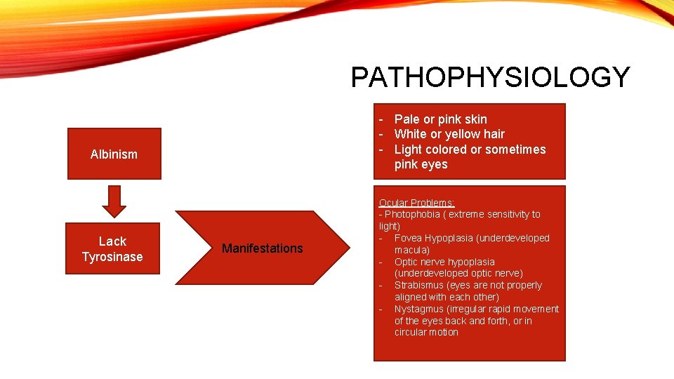 PATHOPHYSIOLOGY - Pale or pink skin - White or yellow hair - Light colored