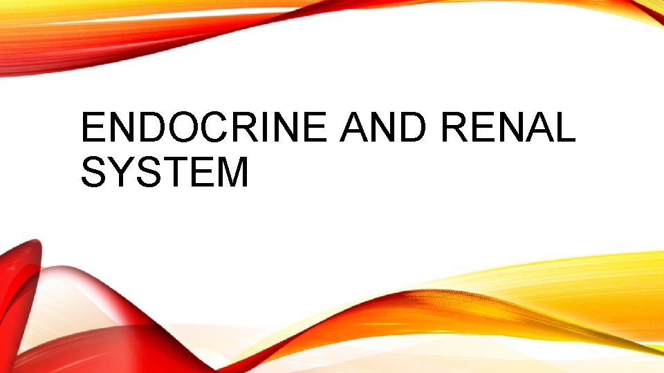 ENDOCRINE AND RENAL SYSTEM 