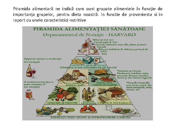 Piramida alimentară ne indică cum sunt grupate alimentele în funcţie de importanţa grupelor, pentru
