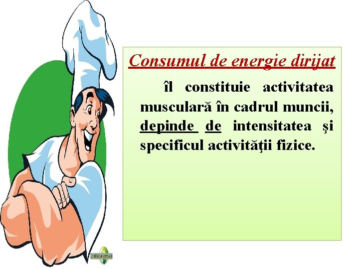 Consumul de energie dirijat îl constituie activitatea musculară în cadrul muncii, depinde de intensitatea