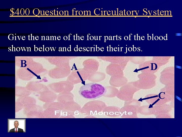 $400 Question from Circulatory System Give the name of the four parts of the