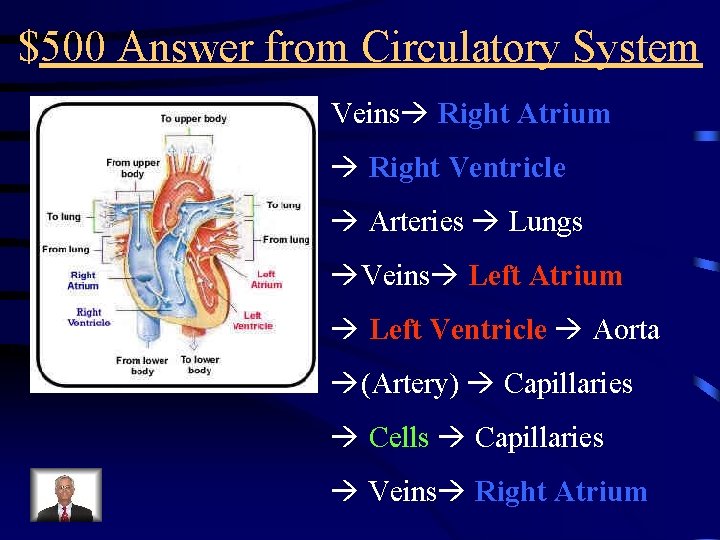 $500 Answer from Circulatory System Veins Right Atrium Right Ventricle Arteries Lungs Veins Left