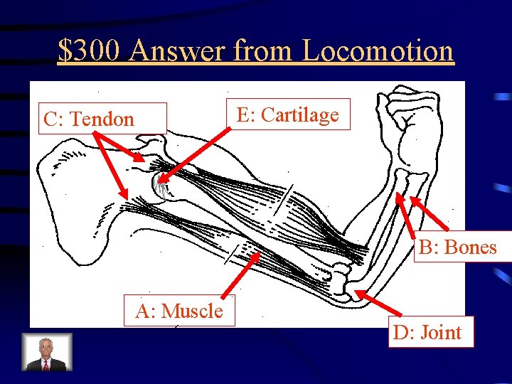 $300 Answer from Locomotion E: Cartilage C: Tendon B: Bones A: Muscle D: Joint