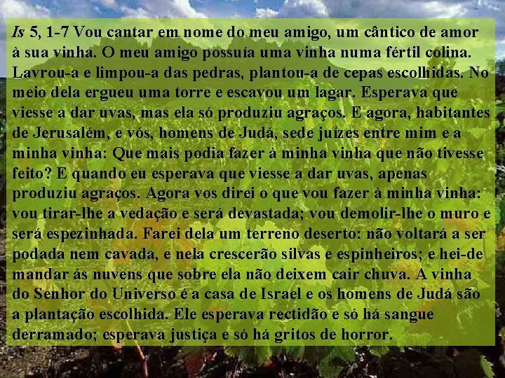 Is 5, 1 -7 Vou cantar em nome do meu amigo, um cântico de