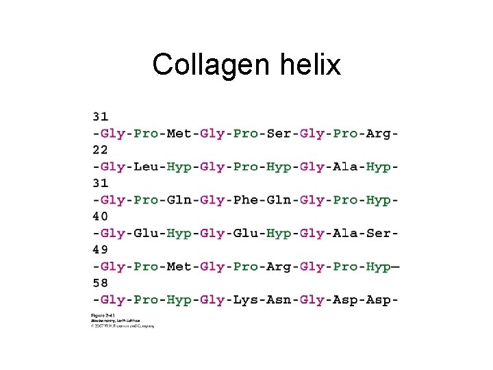 Collagen helix 