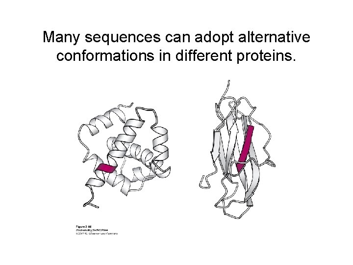 Many sequences can adopt alternative conformations in different proteins. 