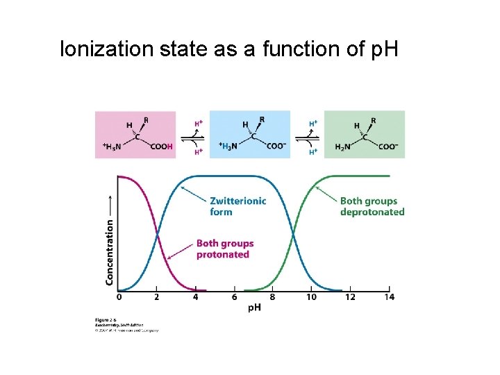 Ionization state as a function of p. H 