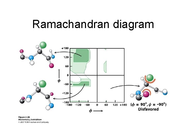 Ramachandran diagram 