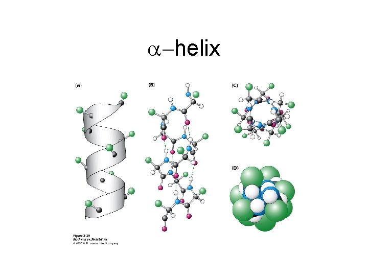 a-helix 