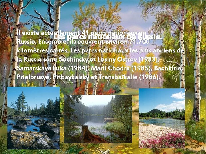 Il existe actuellement 41 parcs nationaux en Les parcs nationaux de Russie. Ensemble, ils