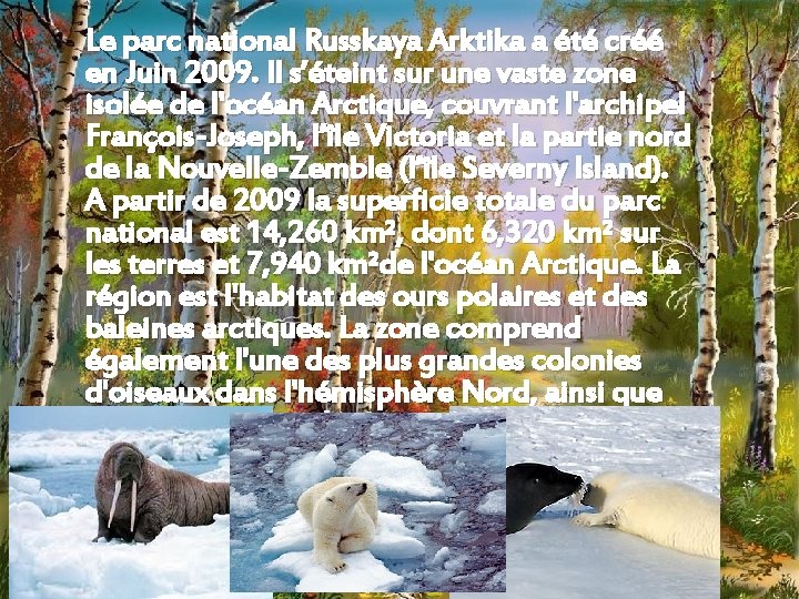 Le parc national Russkaya Arktika a été créé en Juin 2009. Il s’éteint sur