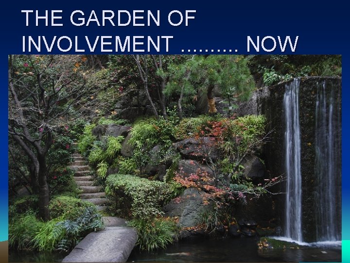 THE GARDEN OF INVOLVEMENT. . NOW 