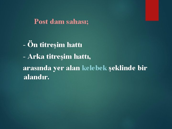Post dam sahası; - Ön titreşim hattı - Arka titreşim hattı, arasında yer alan