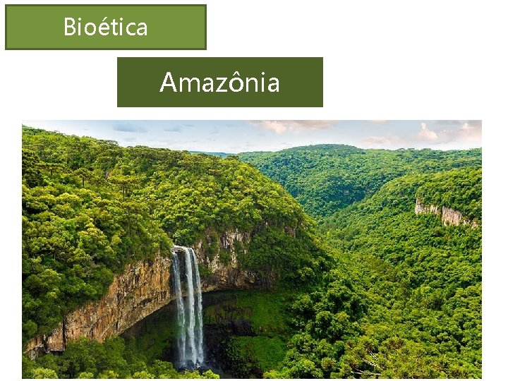 Bioética Amazônia 