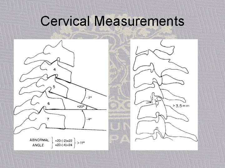 Cervical Measurements 