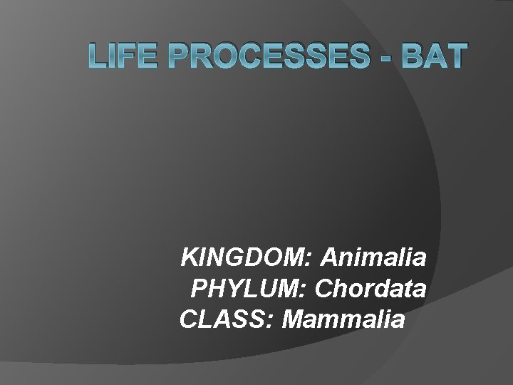 LIFE PROCESSES - BAT KINGDOM: Animalia PHYLUM: Chordata CLASS: Mammalia 