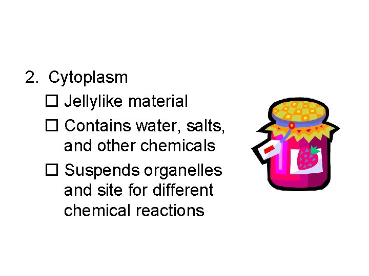 2. Cytoplasm o Jellylike material o Contains water, salts, and other chemicals o Suspends