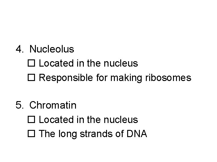 4. Nucleolus o Located in the nucleus o Responsible for making ribosomes 5. Chromatin