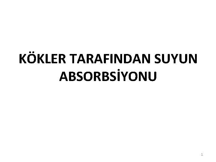 KÖKLER TARAFINDAN SUYUN ABSORBSİYONU 1 