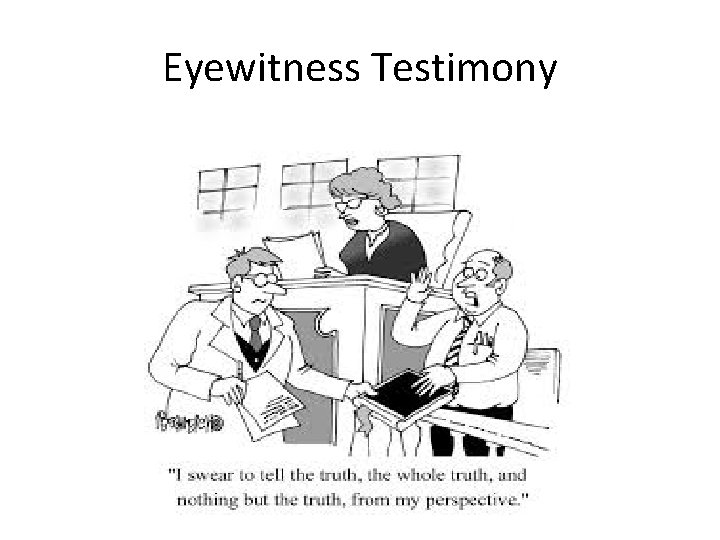 Eyewitness Testimony 