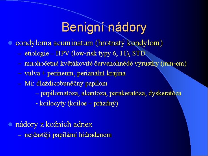 Benigní nádory l condyloma acuminatum (hrotnatý kondylom) – etiologie – HPV (low-risk typy 6,