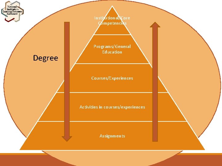 Institutional/Core Competencies Degree Programs/General Education Courses/Experiences Activities in courses/experiences Assignments 