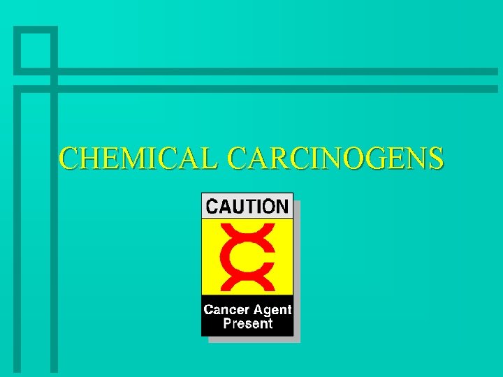 CHEMICAL CARCINOGENS 